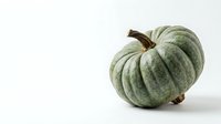 Green round squash with ribbed texture and stem isolated on white background for culinary, food styling, and design projects.