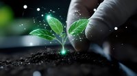 Young green plant seedling growing in soil with magical glowing effect and hand touching, representing growth, innovation and environmental care.