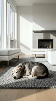 Mixed breed dog resting on textured rug in modern minimalist living room with fireplace and natural sunlight streaming through large windows.