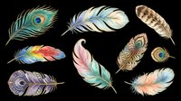 Colorful decorative feathers set isolated on transparent background, ready for t-shirt design, stickers, clipart, sublimation, and print on demand projects.