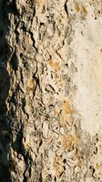 Weathered stone wall surface with natural cracks, erosion patterns and aged texture showing years of environmental wear and organic staining.