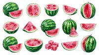 Fresh watermelon slices and whole fruits in various cuts showing juicy red flesh with black seeds, perfect for summer designs and healthy eating concepts.
