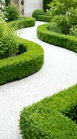Elegant formal garden with curved boxwood hedges and white gravel pathway creating sophisticated landscape design for luxury residential or commercial spaces.
