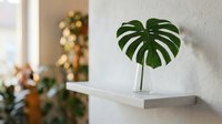 Monstera leaf in clear glass vase on white floating shelf against wall with blurred potted plants in background, home decor and interior design styling.