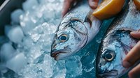 Fresh caught fish on crushed ice with lemon slices, close-up view showing silvery scales and clear eyes indicating premium seafood quality for food industry use.