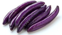 Fresh purple Asian eggplants arranged in row on white background, showing glossy skin and natural organic produce for cooking and healthy eating concepts.