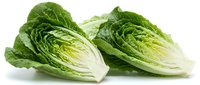 Two fresh romaine lettuce heads with crisp green leaves isolated on white background, perfect for food, nutrition, and healthy eating projects.