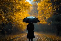 Silhouette of woman with umbrella walking alone on autumn path during rain, surrounded by golden yellow foliage and fallen leaves in moody atmosphere.