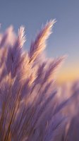 Soft purple pampas grass plumes against sunset sky, creating dreamy atmospheric nature background with golden light and bokeh effect for wall art decor.