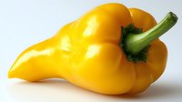Fresh yellow bell pepper with green stem on white background, isolated produce photo showing vibrant color and natural texture for culinary and food design projects.