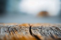 Weathered wooden surface with natural grain texture and crack detail in shallow focus for rustic design projects and organic backgrounds.
