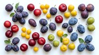 Assorted fresh berries and stone fruits including red apples, purple plums, yellow cherries, and green grapes arranged on white background for food and nutrition design projects.