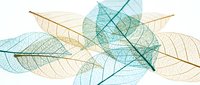 Delicate transparent leaf skeletons in turquoise and golden tones creating an elegant natural pattern on white background for botanical design projects.