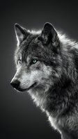 Majestic gray wolf portrait with striking green eyes on dark background, dramatic black and white wildlife photography.