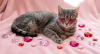 Adorable tabby kitten wearing heart-shaped sunglasses lying on soft pink fabric surrounded by colorful heart-shaped gems for Valentine's Day celebration.