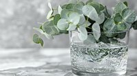 Fresh eucalyptus branches with round silver-green leaves in clear glass of water on marble surface, selective focus with soft bokeh background.
