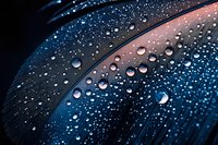 Water droplets on curved metallic surface with blue and pink gradient lighting creating abstract modern background for technology and design projects.