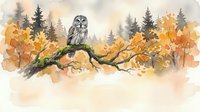 Watercolor owl perched on branch with autumn foliage and evergreen trees in misty forest landscape for seasonal wildlife art and nature designs.