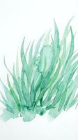 Watercolor green grass blades botanical illustration on white background for natural design projects and organic branding materials.