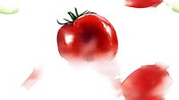 Fresh ripe red tomatoes with green stems and leaves floating on white background, isolated produce for culinary and food design projects.