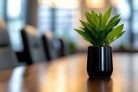 Small green plant in modern black ceramic pot on wooden conference table with blurred office background creates minimalist business environment setting.