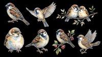 Sparrow birds collection isolated on transparent background, ready for t-shirt design, clipart, stickers, sublimation and print-on-demand projects.