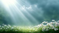 Dreamy meadow landscape with white daisies in morning sunlight, dramatic sky with sunbeams breaking through clouds creating magical natural atmosphere.