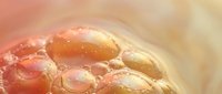 Close-up macro view of golden honey bubbles and foam texture with warm amber tones for natural organic food photography and culinary design projects.