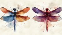 Artistic dragonflies in blue-orange and purple-pink color combinations with watercolor splatter effect on light background, detailed wings and body structure.