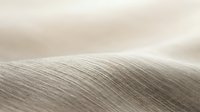 Minimalist abstract wooden surface with natural grain texture and soft lighting creating elegant shadows for modern interior design backgrounds.