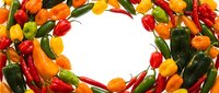 Colorful hot chili peppers arranged in a circular frame on white background, showcasing red, yellow, green, and orange varieties for food and culinary use.