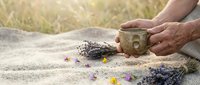 Elderly hands holding rustic ceramic bowl with lavender flowers and seeds scattered on wooden surface in natural outdoor setting for wellness and herbal therapy.