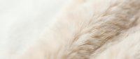 Soft beige animal fur texture with natural hair strands creating warm organic pattern for backgrounds and design projects.