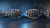 DNA double helix structure with glowing molecular connections on dark blue background for genetic research and biotechnology applications.