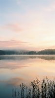 Serene lake at sunrise with misty forest reflection, calm water surface, and reeds in foreground. Peaceful nature landscape for meditation and wellness projects.