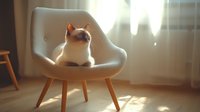 Siamese cat relaxing on modern mid-century chair in sunlit room with soft morning light streaming through sheer curtains creating cozy atmospheric mood.