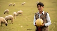 Young man with dark hair and Mediterranean ethnicity, wearing traditional farming attire with vest and white shirt, holding golden melon in pastoral setting with grazing sheep. Agricultural harvest and rural lifestyle concept.