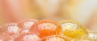 Colorful water droplets on glass surface creating abstract bokeh background with warm orange and yellow tones for refreshing summer designs.