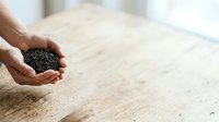 Young adult male hand holding black lentils or seeds over wooden surface, food preparation and cooking ingredient display for culinary and nutrition content.