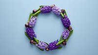 Purple hyacinth flowers arranged in circular wreath with green leaves and brown buds on light blue background for spring decoration and floral design.