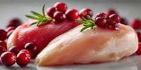 Raw chicken breast fillet with fresh cranberries and rosemary sprigs on gray background, gourmet cooking ingredient for festive dinner.
