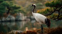 Elegant red-crowned crane standing on mossy shore of tranquil lake with pine trees and misty mountains in background, creating serene Asian landscape.