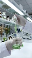 Scientist in white lab coat and gloves conducting botanical extraction experiment, holding dropper with green liquid over beaker in modern laboratory setting with shelves of specimens and equipment.