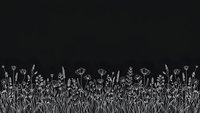 White hand-drawn wildflower meadow border on black background. Delicate botanical line art with grass, flowers and plants for decorative design projects.