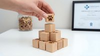 Hand placing wooden block with paw print on pyramid stack at veterinary office desk with certificate and pet treats in background for animal care branding.