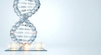 DNA double helix structure made of glass or crystal material balanced on a digital tablet device against white background, representing biotechnology and genetic research.