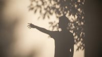 Silhouette of a person with arm extended reaching toward falling leaves, creating an artistic shadow play against a soft, blurred background.