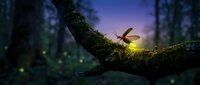 Magical fairy sitting on mossy tree branch in enchanted forest with glowing fireflies at twilight creating mystical atmosphere for fantasy storytelling.