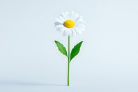 Single white daisy flower with green stem and leaves on light background, minimalist nature composition for wellness, spa and natural cosmetics design.