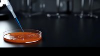 Laboratory pipette dropping liquid sample into petri dish for scientific research and medical testing in modern lab environment.